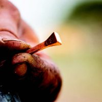 Caiele pentru potcoave