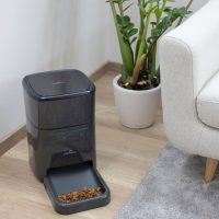 Hrănirea și adăparea pisicilor