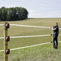 Porți pentru gard electric și accesoriile lor