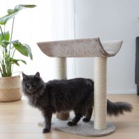Mobilier pentru pisici și accesorii pentru ascuțirea ghearelor